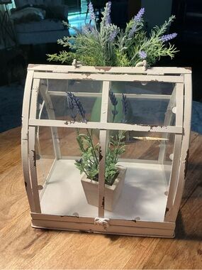 Distressed White Plexiglass Display Terrarium/Lavender Plant